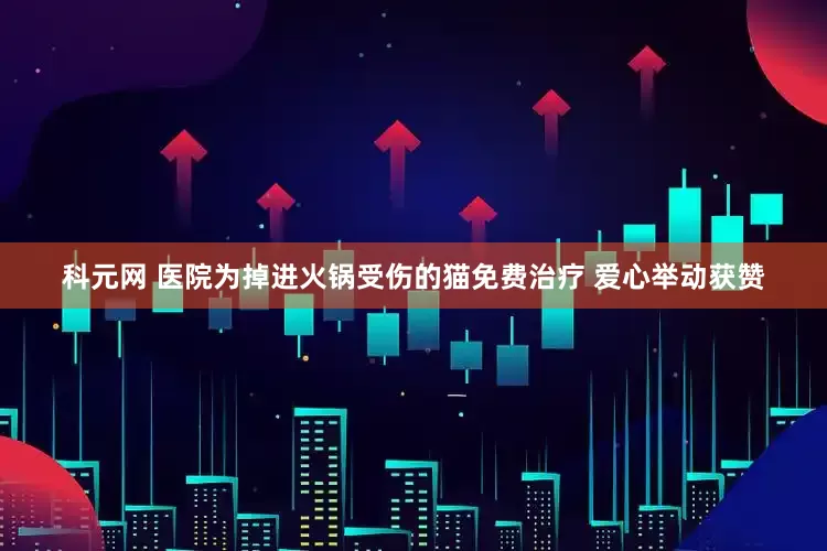 科元网 医院为掉进火锅受伤的猫免费治疗 爱心举动获赞