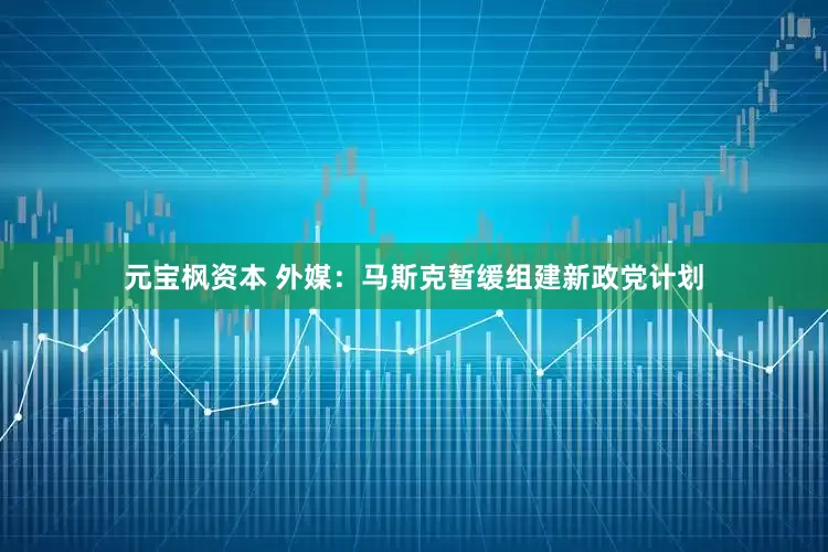 元宝枫资本 外媒：马斯克暂缓组建新政党计划